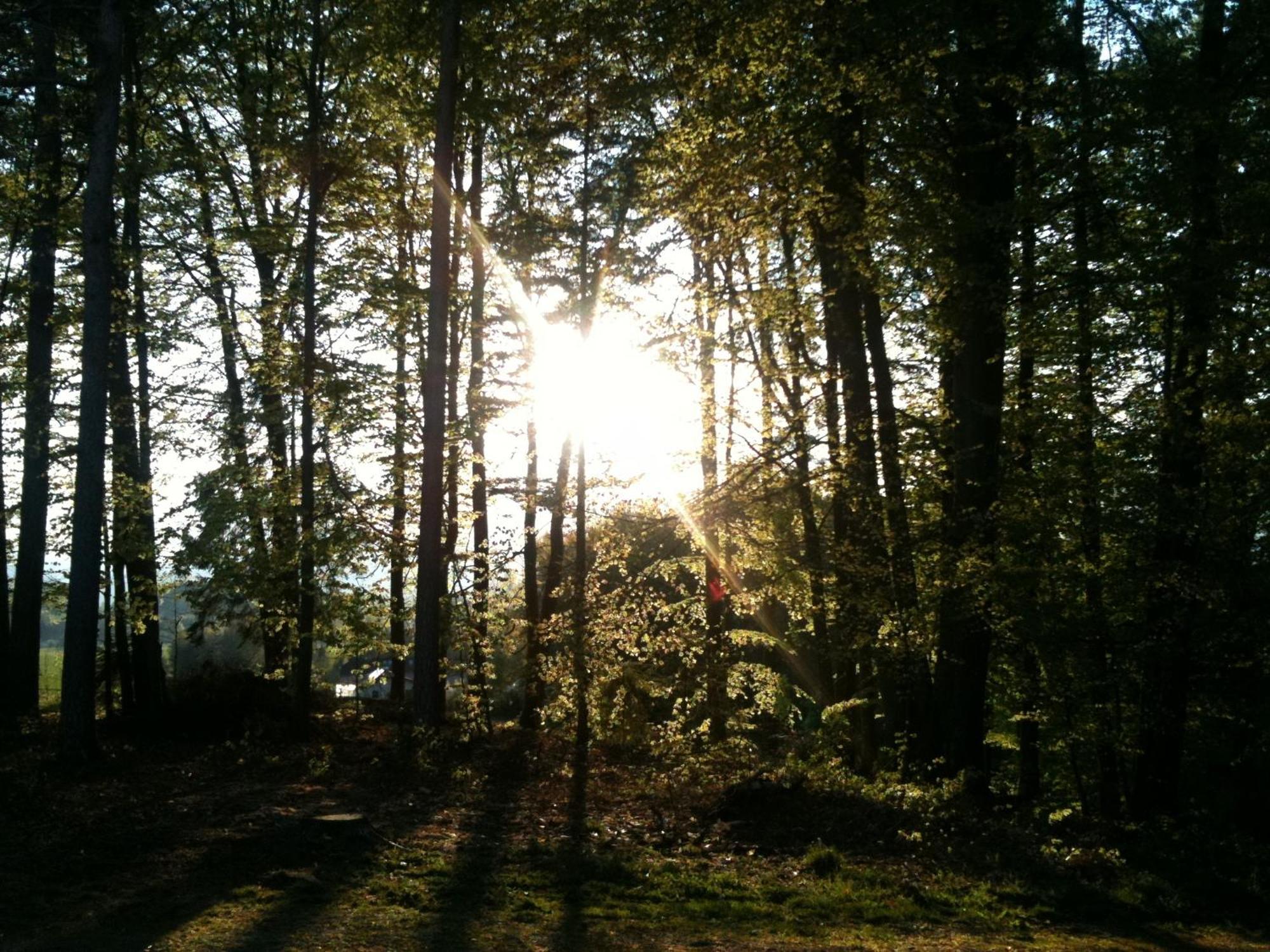 Waldpension Schiefling Am See Exterior foto