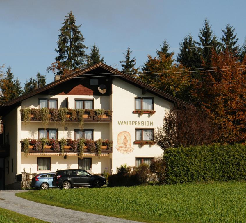 Waldpension Schiefling Am See Exterior foto